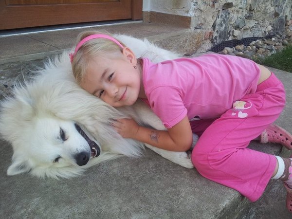 10 powodów, dla których wspaniale jest mieć zwierzaka