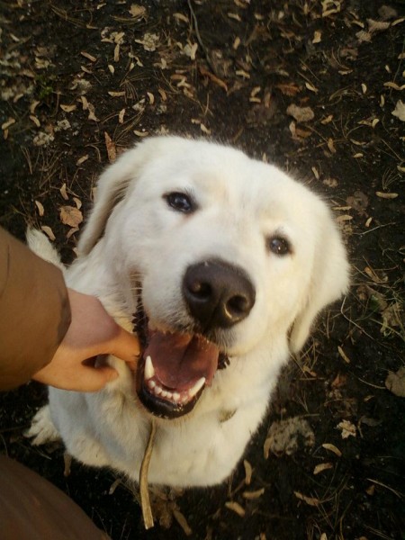 Zasady właściwej opieki stomatologicznej