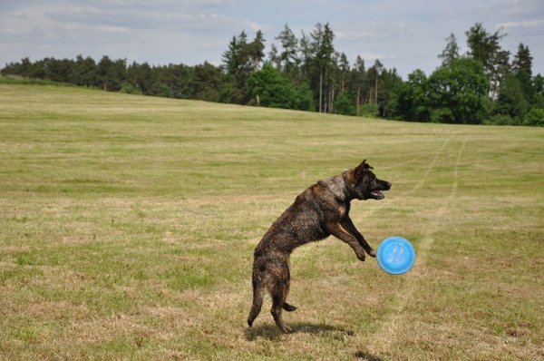 Czy masz mało czasu Zwiększ efektywność chodzenia!