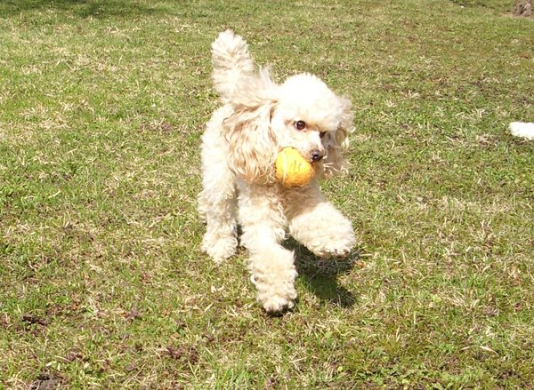 Samotność i chodzenie