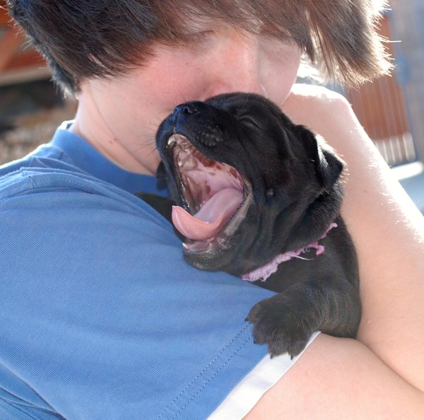 W jaki sposób zwierzęta korzystają na ludziach?