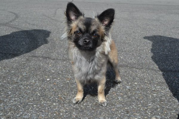 Zaproszenie na targi