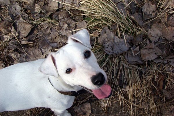 Jak najlepiej przechowywać granulki?