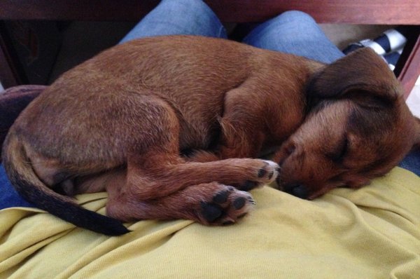 30 czerwca ogłoszono dniem STOP ZARZĄDZANIA