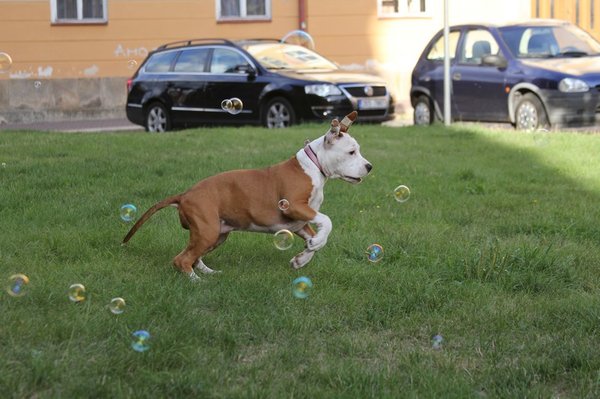 Ręczna robota samochodów