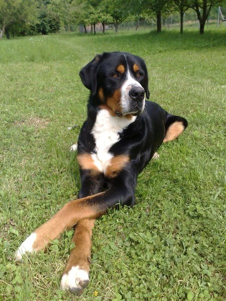 6 wskazówek, jak wybrać reproduktora