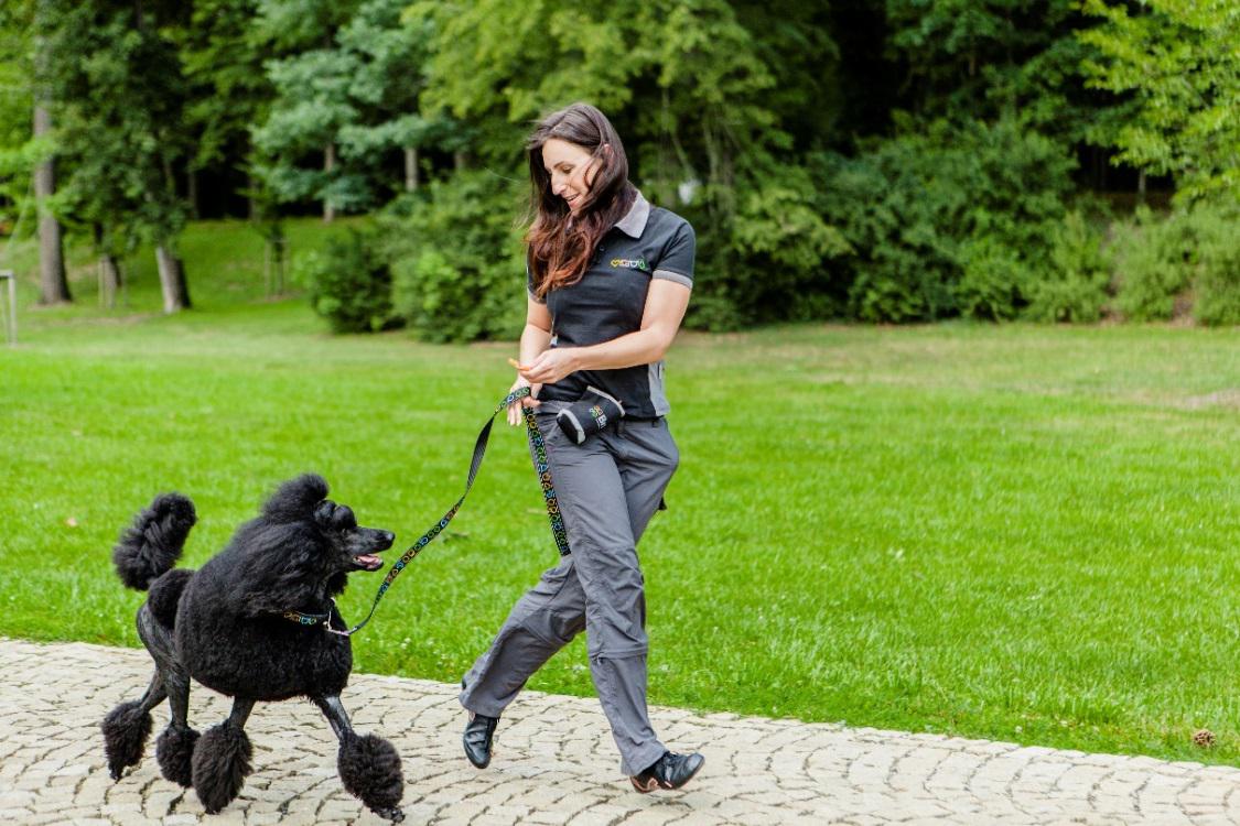 Zaproszenie: Parki pełne smakołyków