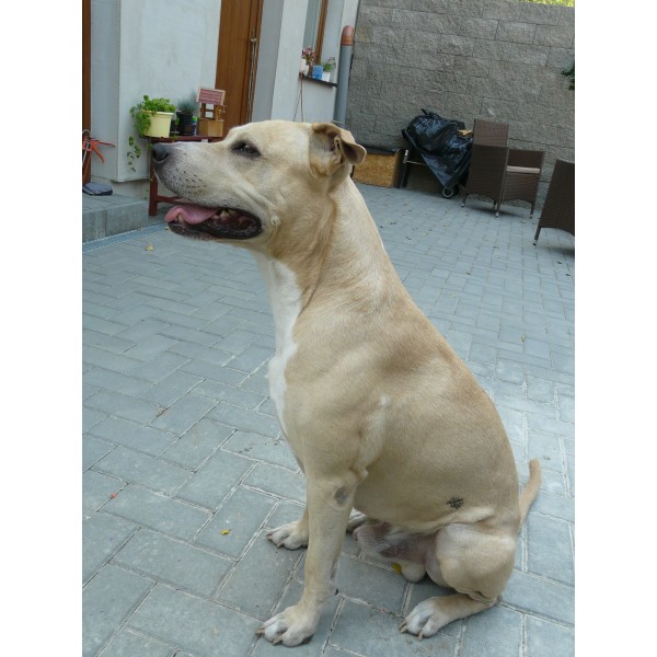 Dziesięć pozytywnych motywacji przysmakami