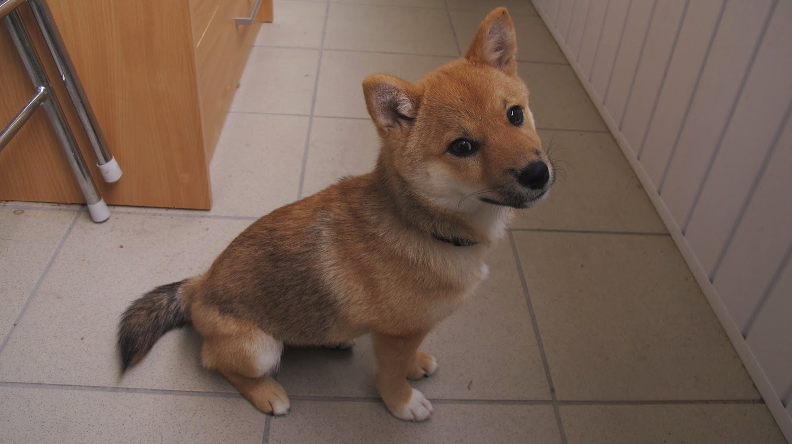 Kiedy jedzenie cierpi