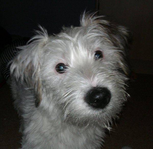 Cykl reprodukcyjny kobiet