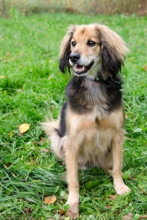 Reprezentatywne schronisko Zlín - Vršava