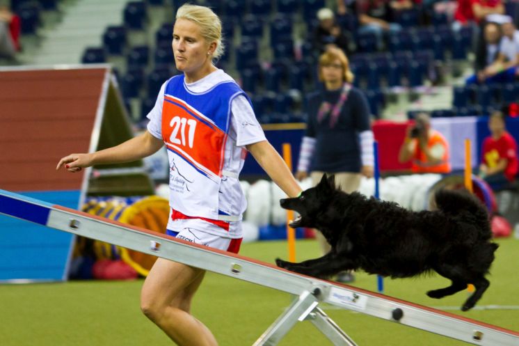 Mistrzostwa Świata Agility 2017 zmierzają do Liberca