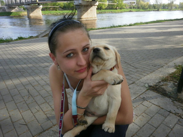 Pies kontra pies ludzie kotów na Facebooku