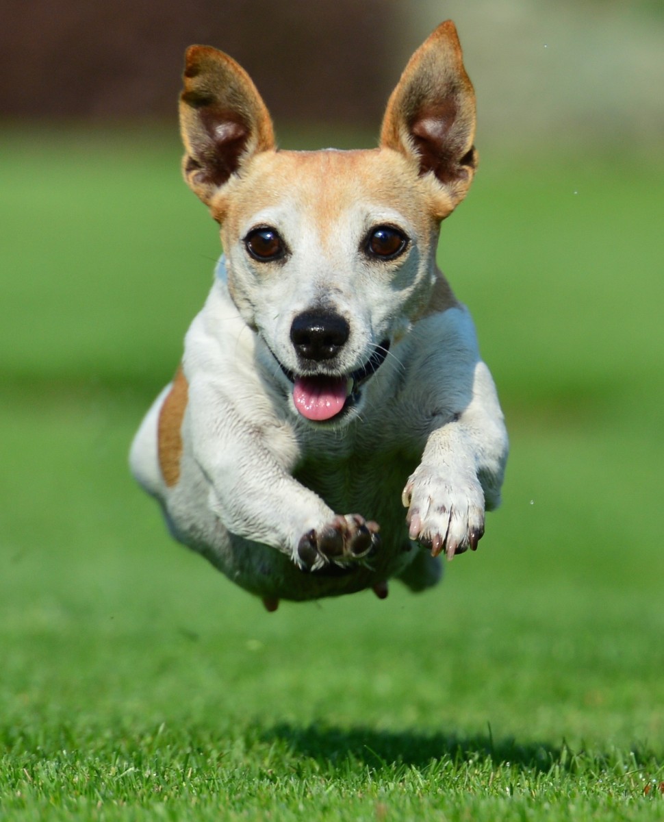 Nowy konkurs fotograficzny na ten temat: Wszędzie dobrze, najlepiej na zewnątrz!