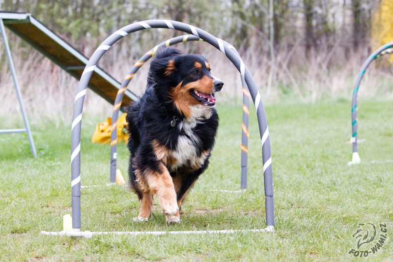 Hoopers, nowy sport bez granic