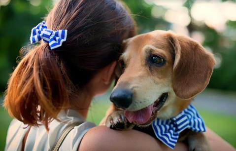 Pół miliona dla zwierząt w trudnej sytuacji zarobiło FUNKY DOG