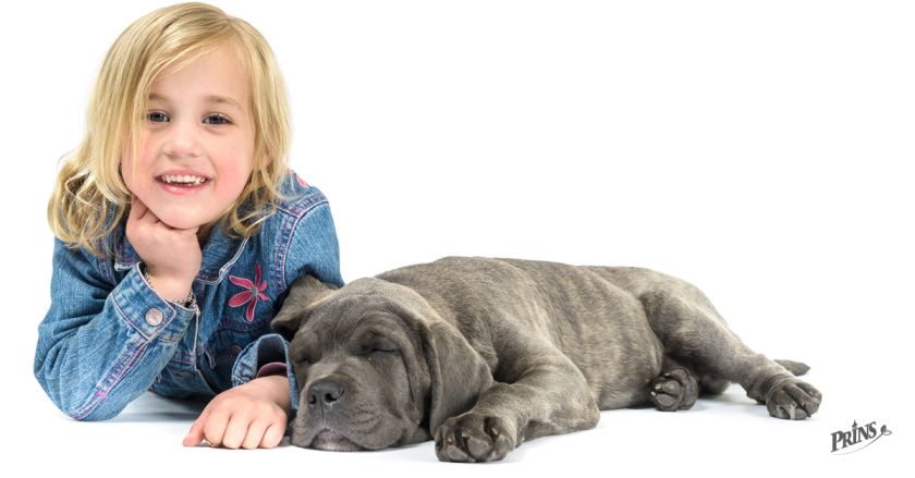 8 świetnych wskazówek dla dzieci i psów