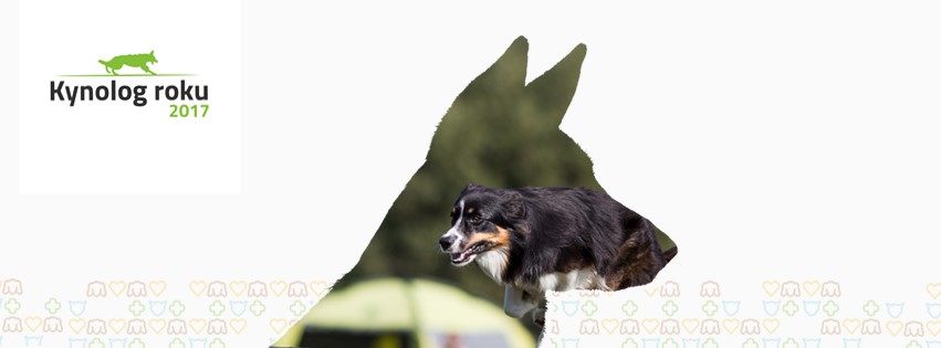 Kynolog roku: Nadchodzą nagrody dla najlepszych w 2017 roku