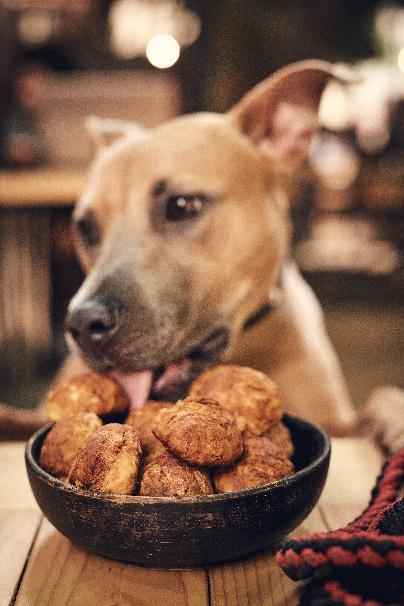 Ciasteczka przeciw chorobie lokomocyjnej