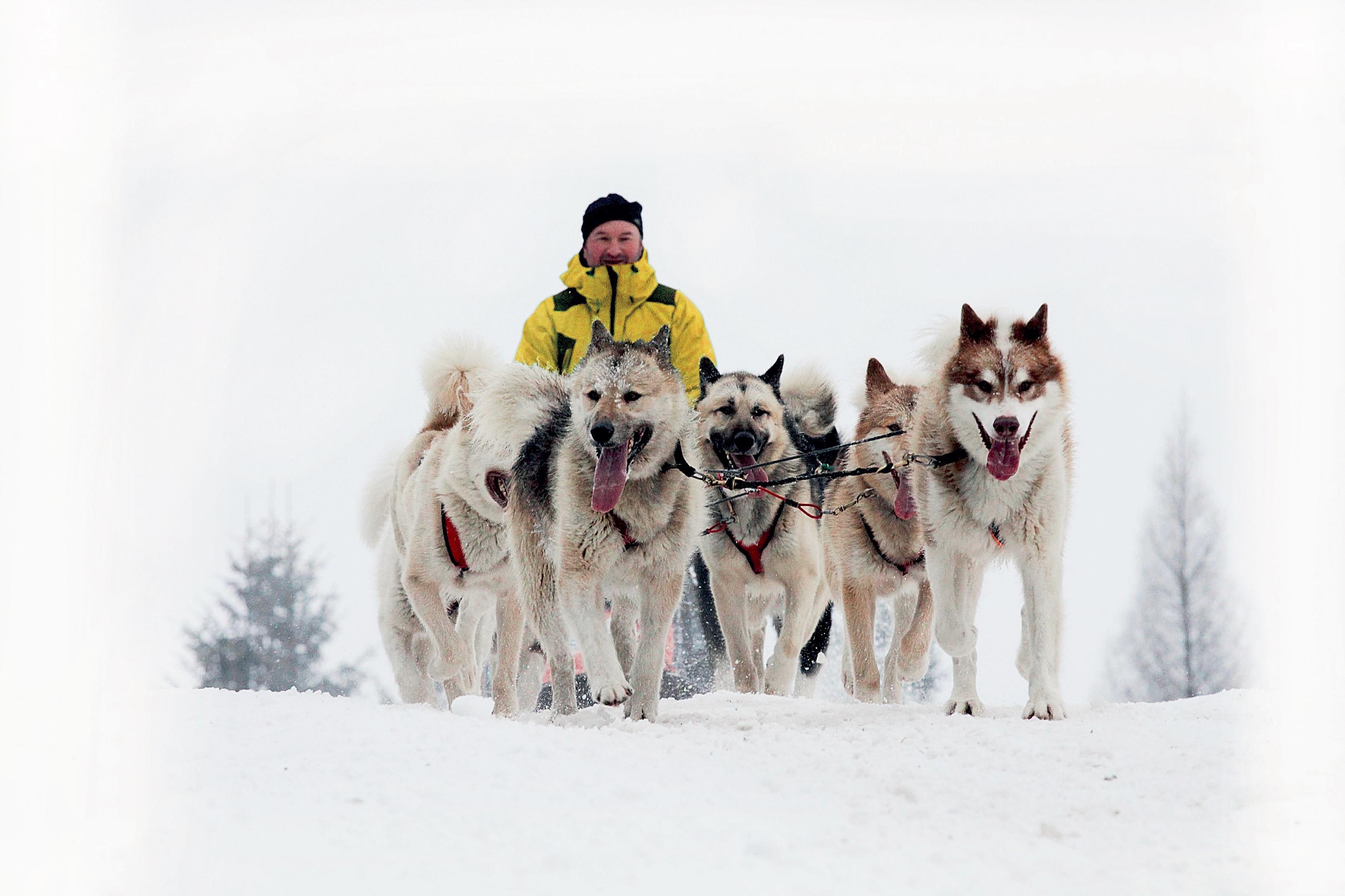 23. rok długiej trasy Šediváček rozpoczął się w Deštné w Górach Orlickich
