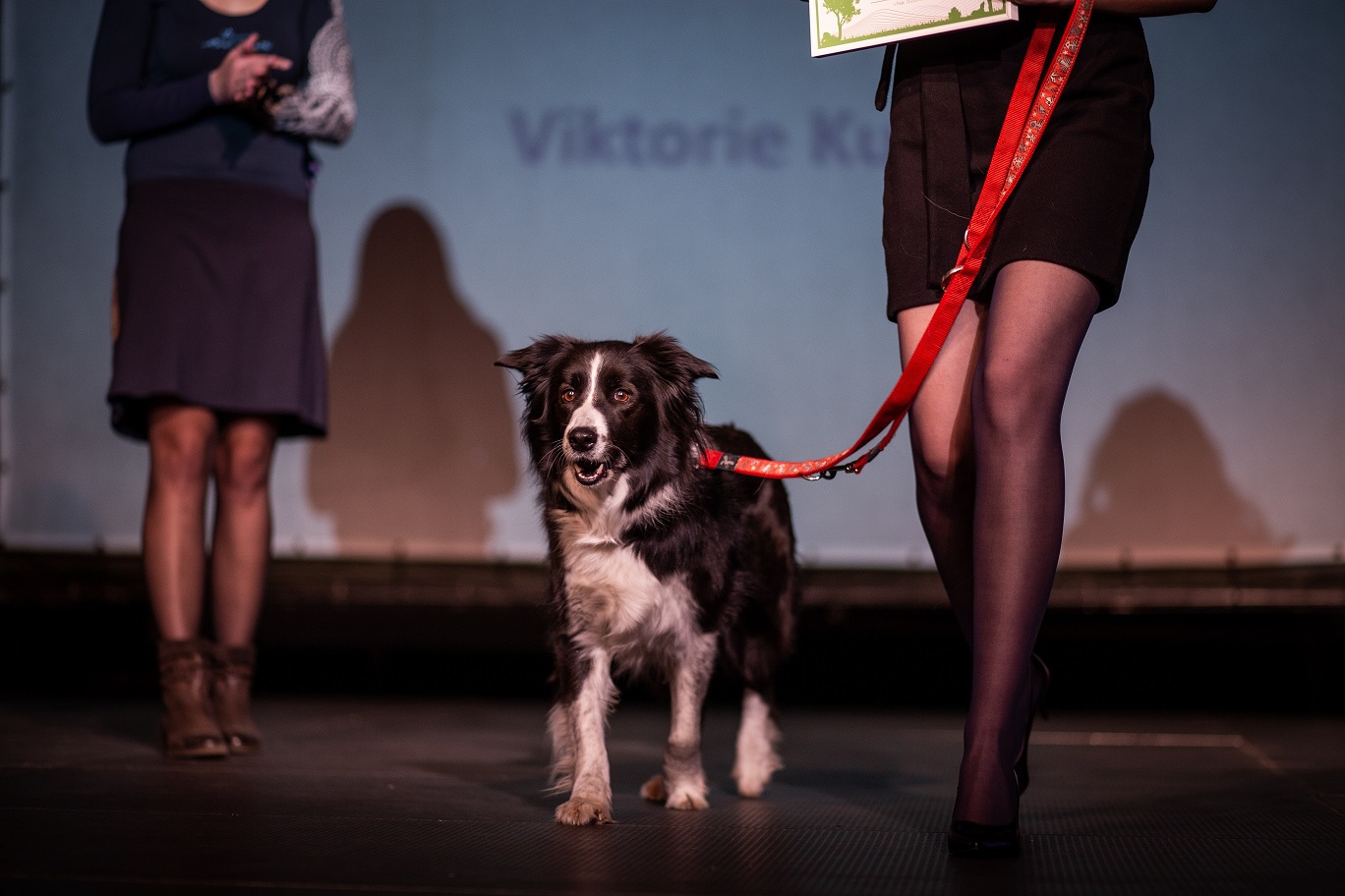 Tytuł Kynolog roku 2018 zdobył Václav Ouška