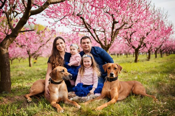 Jak para Burian założyła hodowlę Rhodesian Ridgeback